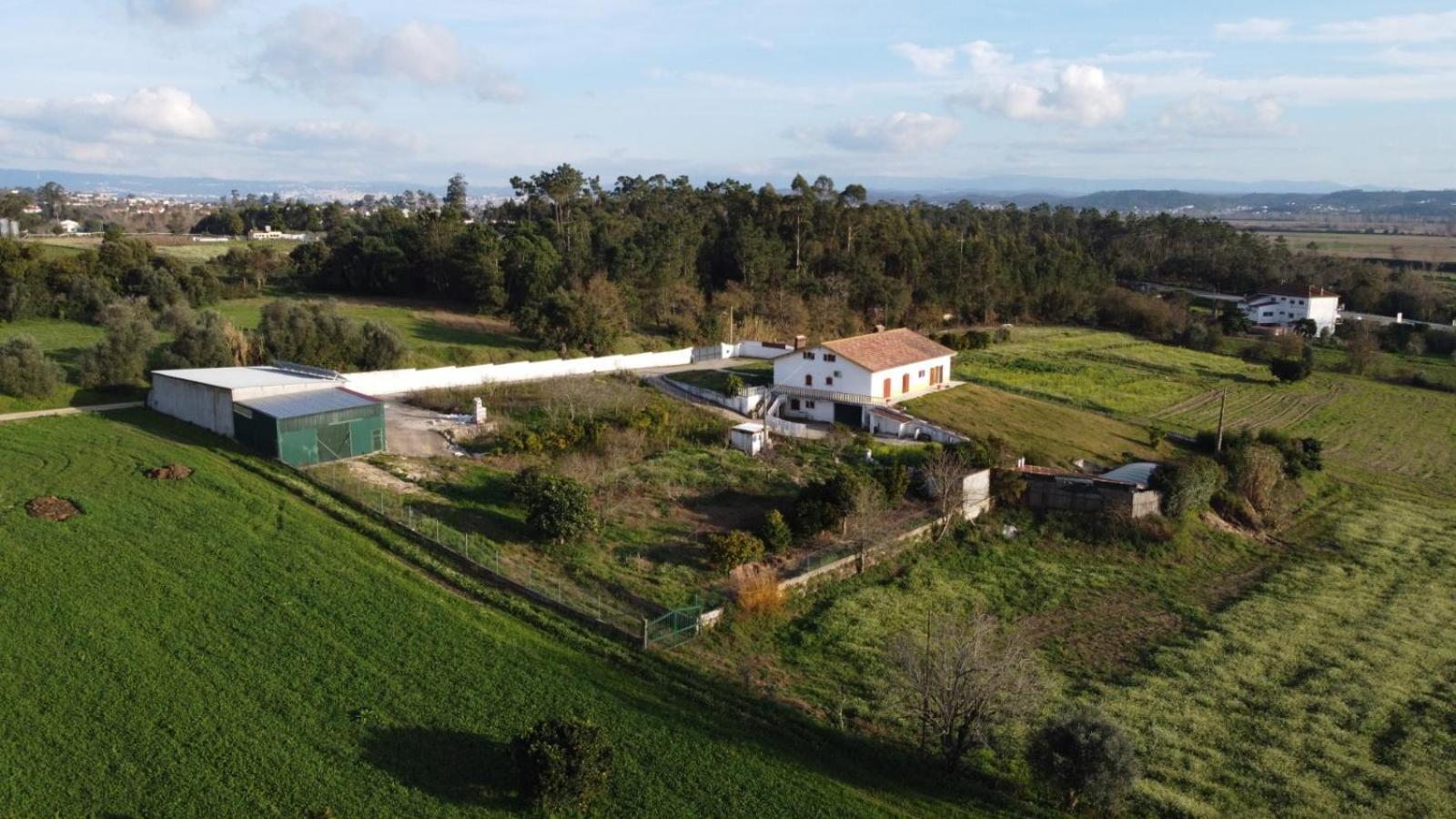 Apartmán Quinta Da Barrosa Tentugal Exteriér fotografie